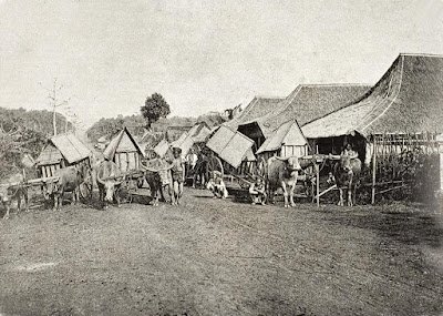 SFA006011817