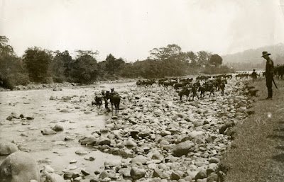 SFA022801514